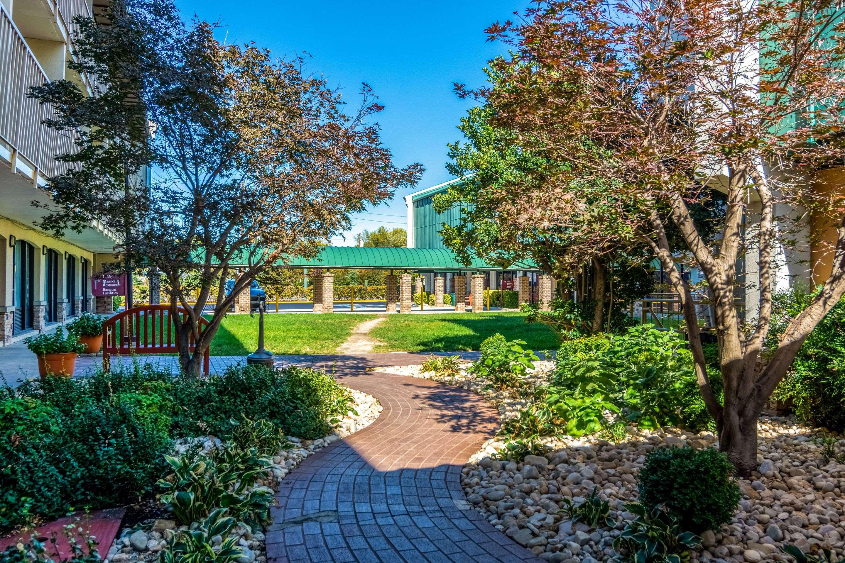 Rodeway Inn Central Richmond Ngoại thất bức ảnh