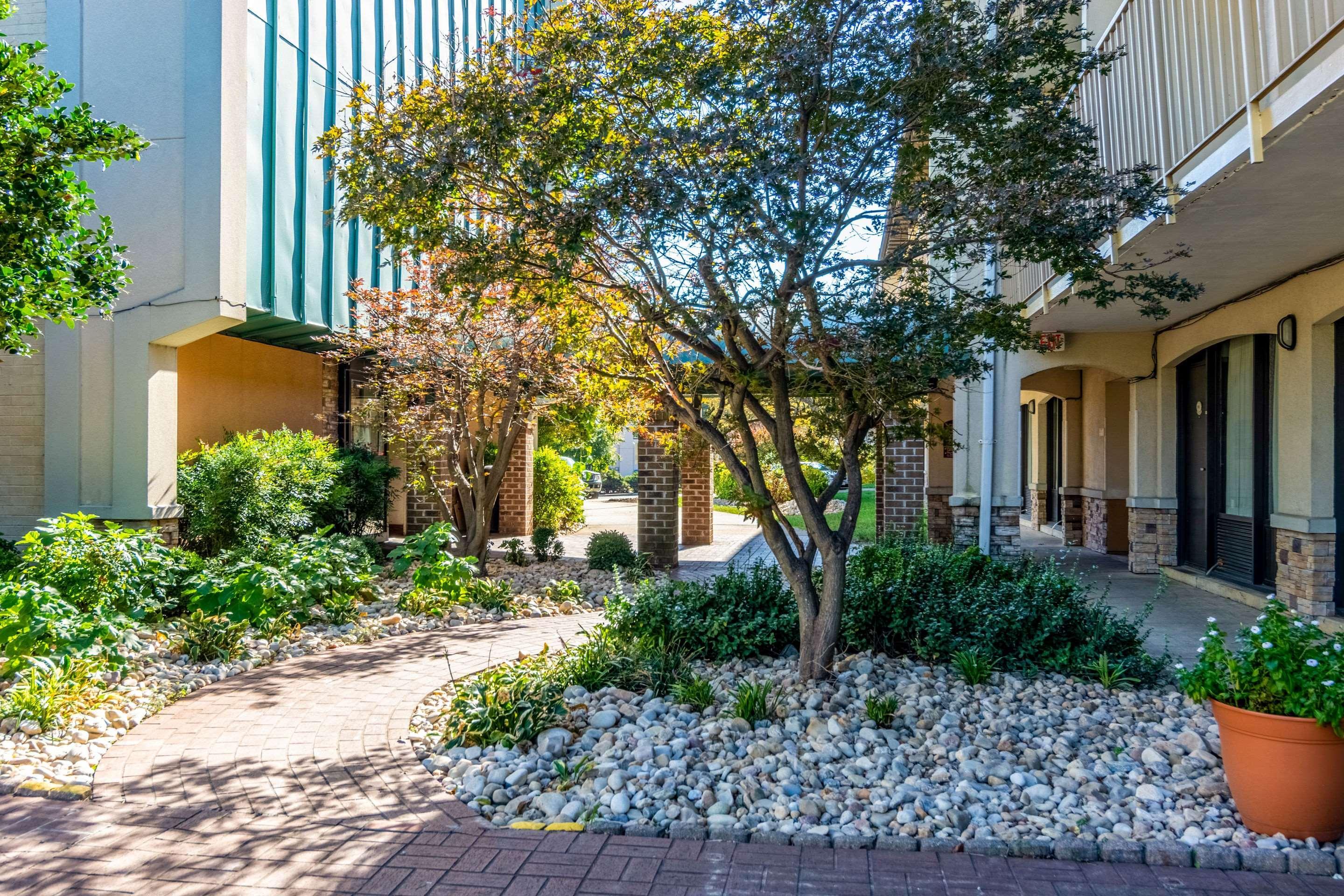 Rodeway Inn Central Richmond Ngoại thất bức ảnh